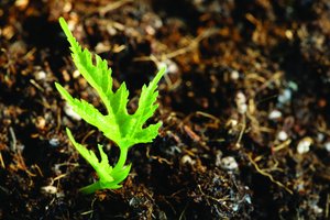 大石橋市收獲機械有限責任公司